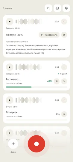 Расшифровка на паузе: «На паузе · 38 %», кнопка «Продолжить» и уже распознанный кусок текста под ней.