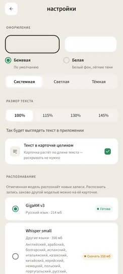 Настройки: выбор темы, размер текста, язык и модель распознавания.